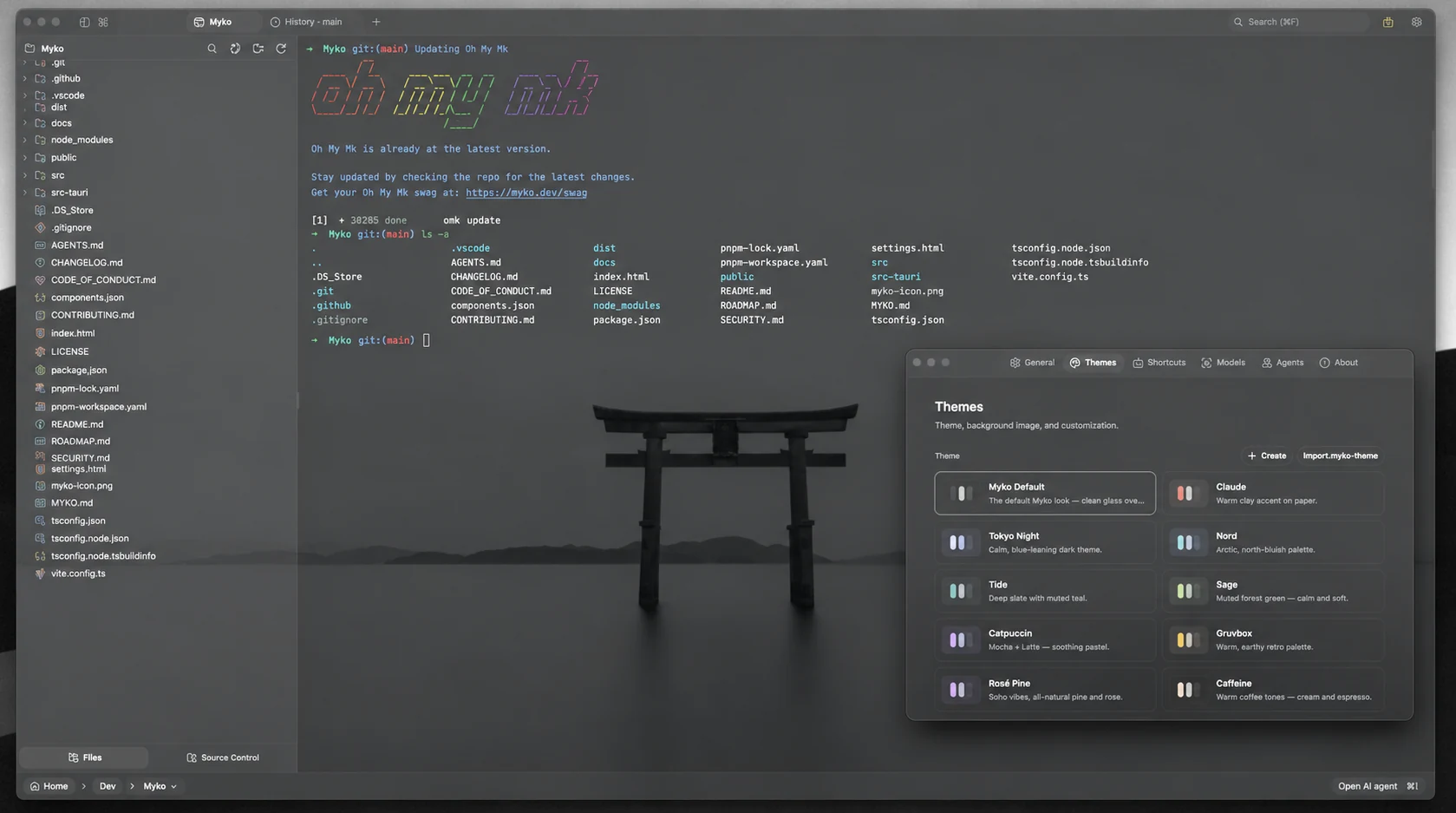 Myko themes settings with a background image
